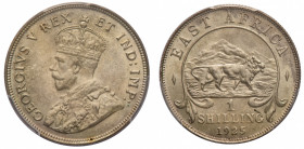 British East Africa
George V (1910-1936) - Shilling 1925 PCGS MS 64 - Mint: London - Obverse: Crowned bust - Reverse: Lion to right, above value and ...