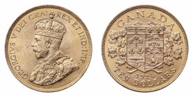 Australia
George V (1910-1936) - Gold 10 Dollars 1914 - Mint: Ottawa - Obverse: Crowned bust left - Reverse: Arms within marple branches - gr. 16,71 ...