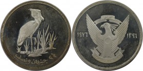 Weltmünzen und Medaillen, Sudan. Schuhschnabel Vogel. 2-1/2 Pounds 1976, Silber. 0.84 OZ. KM 70. Polierte Platte