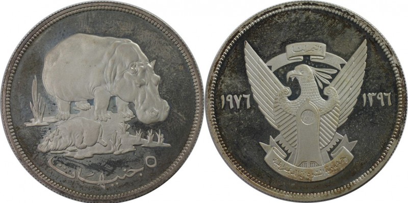 Weltmünzen und Medaillen, Sudan. Nilpferd. 5 Pounds 1976, Silber. 1.04 OZ. KM 71...