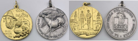 Italia - lotto di 2 medaglie "100 km del Passatore" - metalli vari 

med.mSPL

SPEDIZIONE IN TUTTO IL MONDO - WORLDWIDE SHIPPING