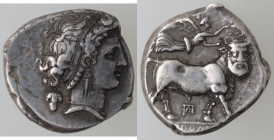 Mondo Greco. Campania. Neapolis. 320-300 a.C. Didracma. Ag. D/ Testa di ninfa a destra. A sinistra un grappolo d'uva. R/ Toro androcefalo a destra. So...