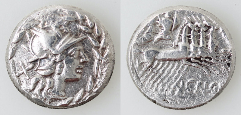 Repubblica Romana. Gens Gellia. Cn. Gellius. 138 a.C. Denario. Ag. D\ Testa dell...