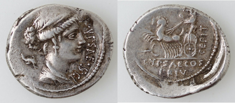 Repubblica Romana. Gens Plautia. Publius Plautius Hypsaeus. 67 a.C. Denario. Ag....