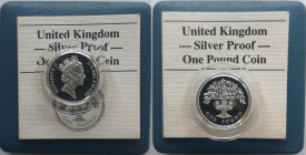 Monete Estere. Gran Bretagna. Elisabetta II. Pound 1983. Ag. In confanetto originale. Proof. (8722)