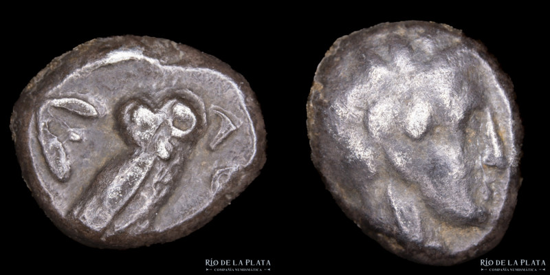 Atica, Atenas. Emisiones entre 454-404aC. AR Dracma. 14.0mm; 4.07g. A: Cabeza de...