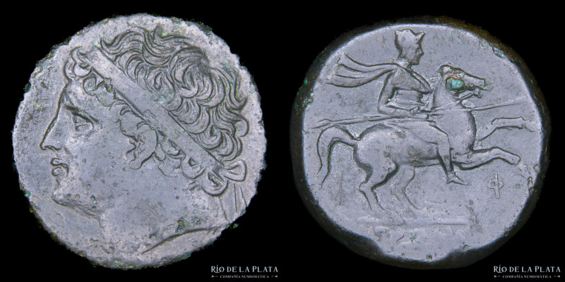 Sicilia. Siracusa. Hieron II (275-216AC) AE Hemilitron. 25.3mm; 16.58g. A: Cabez...