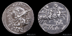 Roma Republica. Matienus 179-170AC. AR Denario