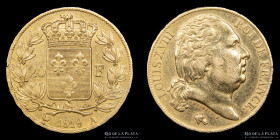 Francia. Luis XVIII. 20 Francs 1819 A. KM712.1