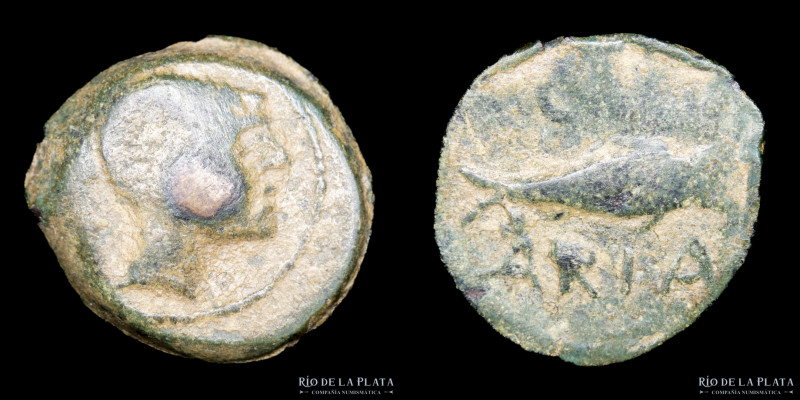 Hispania. Cunbaria (Turdetanos Siglo II AC) AE Semis. 20.5mm; 5.88g. A: Cabeza m...