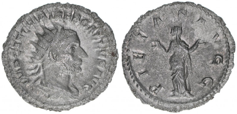 Trebonianus Gallus 251-253
Römisches Reich - Kaiserzeit. Antoninian. PIETAS AVGG...