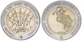250 Francs, 1992
Westafrikanische Staaten. Al-Bro/K-N. 8,00g
Schön 22
stfr