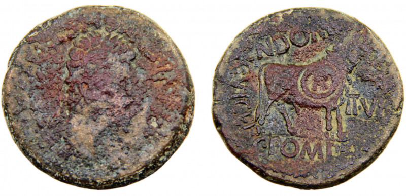 Roma Empire Spain Augustus AE As 27 BC-AD 14 Celsa mint Celtiberian Coins, Bull ...