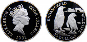 Cook Islands Dependency of New Zealand Elizabeth II 50 Dollars 1991 (Mintage 25000) Endangered Wildlife, Penguins Silver 19.1g KM# 128