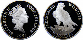 Cook Islands Dependency of New Zealand Elizabeth II 50 Dollars 1991 Endangered Wildlife, Peregrine Falcon Silver 18.96g KM# 357