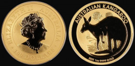 Australia Kangaroo 2021 P One Ounce Fine (.9999) Gold PCGS MS70
Estimate: GBP 1400 - 1800