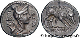 HOSIDIA
Type : Denier 
Date : 68 AC. 
Mint name / Town : Rome 
Metal : silver 
Millesimal fineness : 950  ‰
Diameter : 16,5  mm
Orientation dies : 6  ...