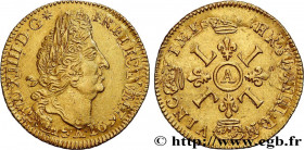 LOUIS XIV "THE SUN KING"
Type : Louis d'or aux quatre L 
Date : 1696 
Mint name / Town : Paris 
Metal : gold 
Millesimal fineness : 917  ‰
Diameter : ...