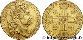 LOUIS XIV "THE SUN KING"
Type : Double louis d'or au soleil 
Date : 1710 
Mint name / Town : Lyon 
Quantity minted : 146873 
Metal : gold 
Millesimal ...