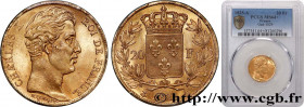CHARLES X
Type : 20 francs or Charles X 
Date : 1825 
Mint name / Town : Paris 
Quantity minted : 663764 
Metal : gold 
Millesimal fineness : 900  ‰
D...