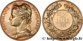 III REPUBLIC
Type : Médaille, Sénat, Archiviste 
Date : 1885 
Metal : gold plated silver 
Diameter : 50,5  mm
Engraver : Max BOURGEOIS 
Weight : 68,10...