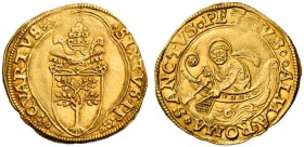 Sisto IV (Francesco della Rovere), 1471-1484. Fiorino di camera, AV 3,40 g. SIXTVS PP rosetta (segno di Pier Paolo della Zecca) – rosetta QVARTVS Stem...