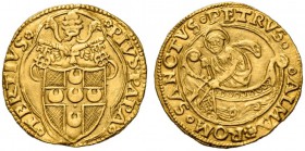 Pio III (Francesco Todeschini-Piccolomini), 22 settembre – 17 ottobre 1503. Fiorino di camera, AV 3,47 g. PIVS PAPA – TERTIVS Stemma sormontato da tri...