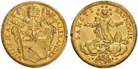 Alessandro VIII (Pietro Ottoboni), 1689-1691. Doppia anno I, AV 6,71 g. ALEXANDER – VIII P M A I Stemma sormontato da triregno e chiavi decussate con ...