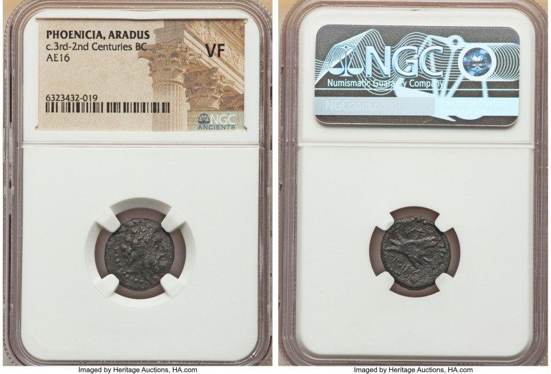 ANCIENT LOTS. Greek. Lot of three (3) AE issues. NGC Fine-VF. Includes: Three Gr...