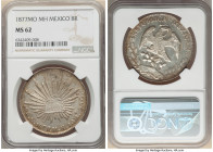 Republic 8 Reales 1877 Mo-MH MS62 NGC, Mexico City mint, KM377.10, DP-Mo62. Flashy luster and gold-brown toning. 

HID09801242017

© 2022 Heritage Auc...