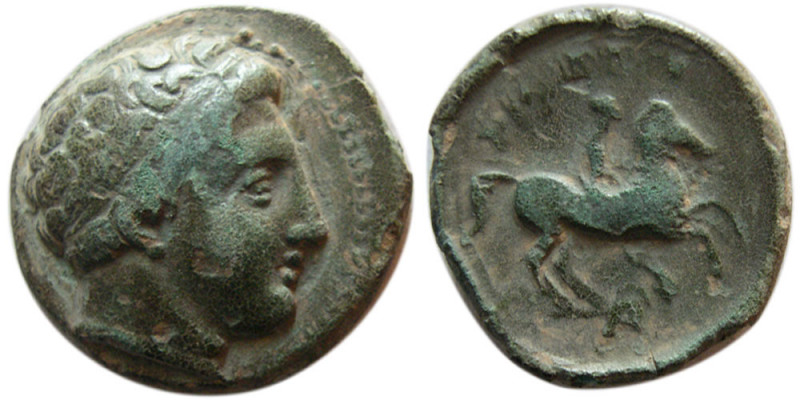 KINGS of MACEDON. Philip II. 359-336 BC. Æ unit (4.88 gm; 18 mm). Diademed head ...