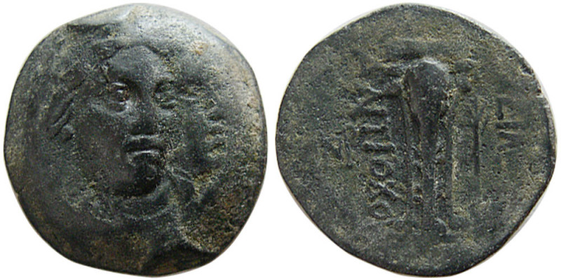 SELEUKID KINGS, Antiochos II. 261-246 BC. Æ (3.82 gm; 17 mm). Seleukia on the Ti...