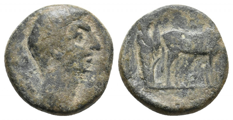 MYSIA, Parium. Augustus? 27 BC-AD 14. AE. 3.88 g. 17.10 mm.