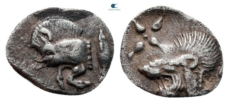 Mysia. Kyzikos circa 525-475 BC. 
Hemiobol AR

9 mm, 0,32 g



very fine