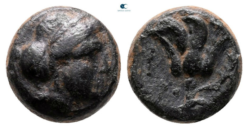 Islands off Caria. Rhodos circa 350-300 BC. 
Bronze Æ

10 mm, 1,58 g



v...