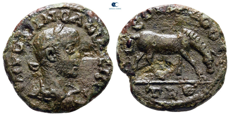 Troas. Alexandreia. Gallienus AD 253-268. 
Bronze Æ

21 mm, 4,50 g



nea...