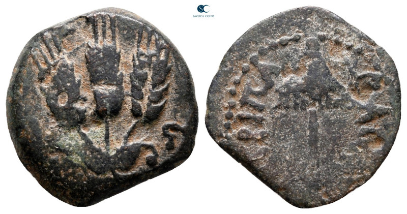 Judaea. Jerusalem. Herodians. Agrippa I AD 37-43. 
Prutah Æ

17 mm, 2,43 g
...