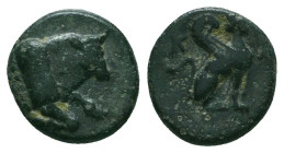 Greek Coins. 4th - 3rd century B.C. AE


Condition: Very Fine



 Weight: 1.20 gr Diameter: 10.7 mm