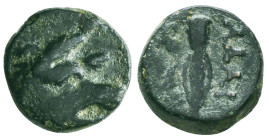 Greek Coins. 4th - 3rd century B.C. AE


Condition: Very Fine



 Weight: 3.50 gr Diameter: 13.6 mm