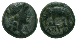 Greek Coins. 4th - 3rd century B.C. AE


Condition: Very Fine



 Weight: 3.75 gr Diameter: 13 mm
