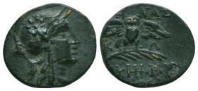 Greek Coins. 4th - 3rd century B.C. AE


Condition: Very Fine



 Weight: 2.62 gr Diameter: 18.3 mm
