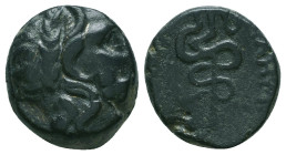 Greek Coins. 4th - 3rd century B.C. AE


Condition: Very Fine



 Weight: 4.38 gr Diameter: 14.9 mm