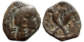 NABATAEA. Syllaios. Usurper, 9-6 BC. Ae (bronze, 1.49 g, 14 mm). Diademed head right. Crossed cornucopias. Meshorer, Nabataea 42. Nearly very fine.