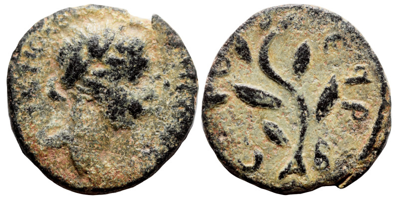 SYRIA, Seleucis and Pieria. Antioch. Pseudo-autonomous issue. Ae (bronze, 1.41 g...