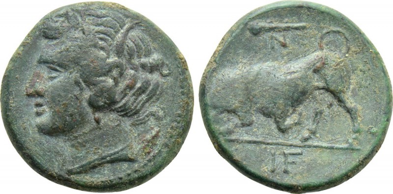 Sicily, Syracue, Hieron II, 275 - 215 BC
AE17, 4.04 grams
Obverse: Wreathed he...