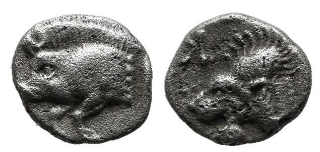 Mysia, Kyzikos, 450 - 400 BC
Silver Hemiobol, 6mm, .30 grams
Obverse: Forepart...