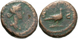 Anonymous, Time of Domitian - Pius, Quadrans with Venus & Dove, Engraving Error