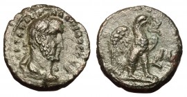 Gallienus, 253 - 268 AD, Tetradrachm of Alexandria, Eagle