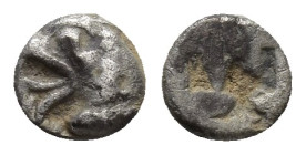 Greek Ionia. Phokaia circa 521-478 BC. Obol AR 56mm., 0,3g. Head of griffin left / Rough incuse square.