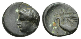 Ionia. Leukai circa 360-340 BC. Bronze Æ 11.2 mm, 1,3 g Obv: Laureate head of Apollo left Rev: Swan standing left, head right preening spread wings.